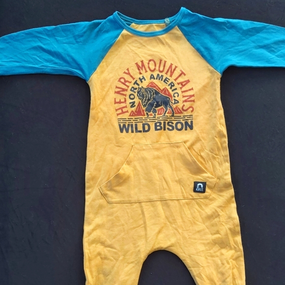 Rags to Rashes 6-12m Henry Mountains Wild Bison 🦬 - Picture 1 of 3